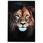 NFG - BILDE Lion 60x90 glas