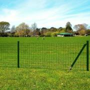 vidaXL Eurofence stål 25 x 1,5 m grön