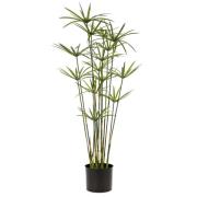 Emerald Konstväxt cyperus i kruka 90 cm