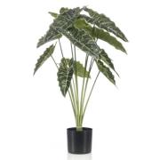 Emerald Konstväxt Alocasia i kruka 80 cm