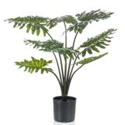 Emerald Konstväxt Filodendron med kruka 60 cm