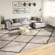 vidaXL Ryamatta PAMPLONA lång lugg modern beige & antracit 300x400 cm