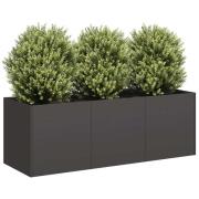 vidaXL Odlingslåda svart 120x40x40 cm kallvalsat stål