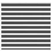 vidaXL Rullgardin zebra svart 165x150 cm tyg bredd 160,9cm polyester