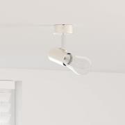 vidaXL Takspotlight med strålkastare Nickel 6,5 x 6 x 11,5 cm Metall