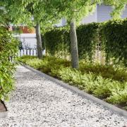 vidaXL Kant för gräsmatta 30 pcs Silver 100 x 0,05 x 20 cm