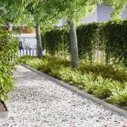 vidaXL Kant för gräsmatta 20 pcs Silver 100 x 0,05 x 20 cm