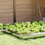 vidaXL Snigelfence 4 pcs Silver 13,5 x 13,5 x 25 cm Galvaniserat Stål