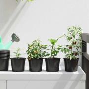 vidaXL Blomkruka 200 pcs Svart Ø 15 x 12,5 cm Plast