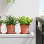 vidaXL Rund Blomkruka 24 pcs Murgrön Ø 14 x 2 cm Plast