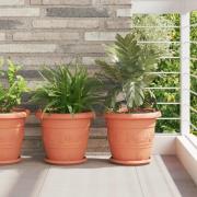 vidaXL Växtkrukor 24 pcs Murgrön Ø 26 x 21,5 cm Plast