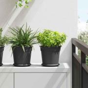 vidaXL Rund Blomkruka 6 pcs Svart Ø 19 x 16 cm Plast