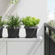vidaXL Kvadratisk Blomkruka 24 pcs Svart 23 x 23 x 17,5 cm Plast