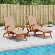 vidaXL Reclining och Fällbar Solstol 2 pcs 55 x 146 x 91 cm