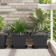 vidaXL Fyrkantig Blomkruka 24 pcs Svart 32 x 32 x 2,5 cm Plast