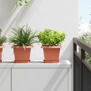 vidaXL Fyrkantig Blomkruka 6 pcs Murgrön 15 x 15 x 2 cm Plast