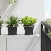 vidaXL Fyrkantig Blomkruka 6 pcs Svart 15 x 15 x 2 cm Plast