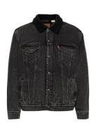 LEVI´S Men Type 3 Sherpa Trucker Roadster Grå