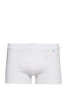 Schiesser Shorts Vit