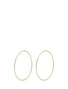 Pilgrim Sanne X-Large Hoop Earrings Guld