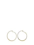 Pilgrim Tilly Earrings Guld