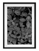 Poster Abstract Plant Home Decoration Posters & Frames Posters Black &...