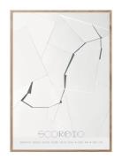 Scorpio - The Scorpion Home Decoration Posters & Frames Posters Black ...