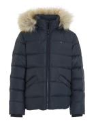 Tommy Hilfiger Essential Down Fur Hood Jacket Marinblå