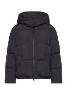 GANT Short Down Jacket Svart