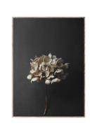 Still Life 04 30X40 Home Decoration Posters & Frames Posters Black & W...