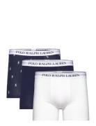 Polo Ralph Lauren Underwear Bci Cotton/Elastane-3Pk-Bxb Marinblå