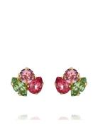 Caroline Svedbom Ana Earrings Gold Röd