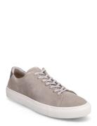 Sneaky Steve Moore Suede Grå