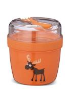 N'ice Cup - L, Kids, Lunch Box With Cooling Disc - Orange Home Meal Ti...