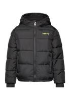 Levi's Lvb Core Puffer / Lvb Core Puffer Svart