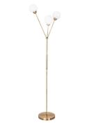 3Some Floor Lamp Home Lighting Lamps Floor Lamps Gold By Rydéns