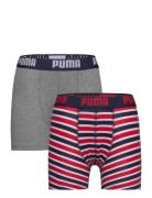 PUMA Puma Boys Basic Boxer Printed Strip Multi/patterned