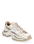 Steve Madden Zoomz Sneaker Kräm