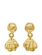 Maanesten Conca Earring Guld