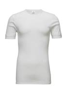 JBS Jbs T-Shirt Classic. Vit