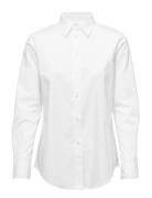 Lauren Ralph Lauren 50S Strtch Non Iron-Ls Shirt W/ Chs Vit