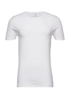 JBS Of Denmark Jbs Of Dk T-Shirt O-Neck Vit