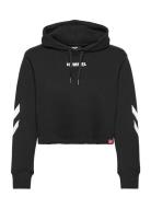 Hummel Hmllegacy Woman Cropped Hoodie Svart