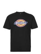 Dickies Icon Logo Tee Svart