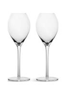 Sagaform Saga Champagne Glass, 2-Pack Nude