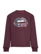 The New Tndallas Sweatshirt Burgundy