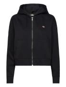 Dickies Oakport Zip Hoodie W Svart