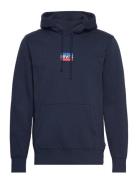 LEVI´S Men Standard Graphic Hoodie Mini S Marinblå