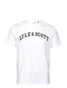 Lyle & Scott Collegiate T-Shirt Vit