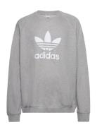 Adidas Originals Adicolor Classics Trefoil Crewneck Sweatshirt Grå